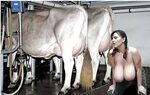 Time to Milk the Cow - Photo #24